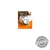 Tennessee-Vols-Dalton-Bargo-2-In-1-3Rd-Ut-Player-With-Two-Hr-In-One-Inning-Vs-Unc-Asheville-Poster-Shirt-fireartee_3