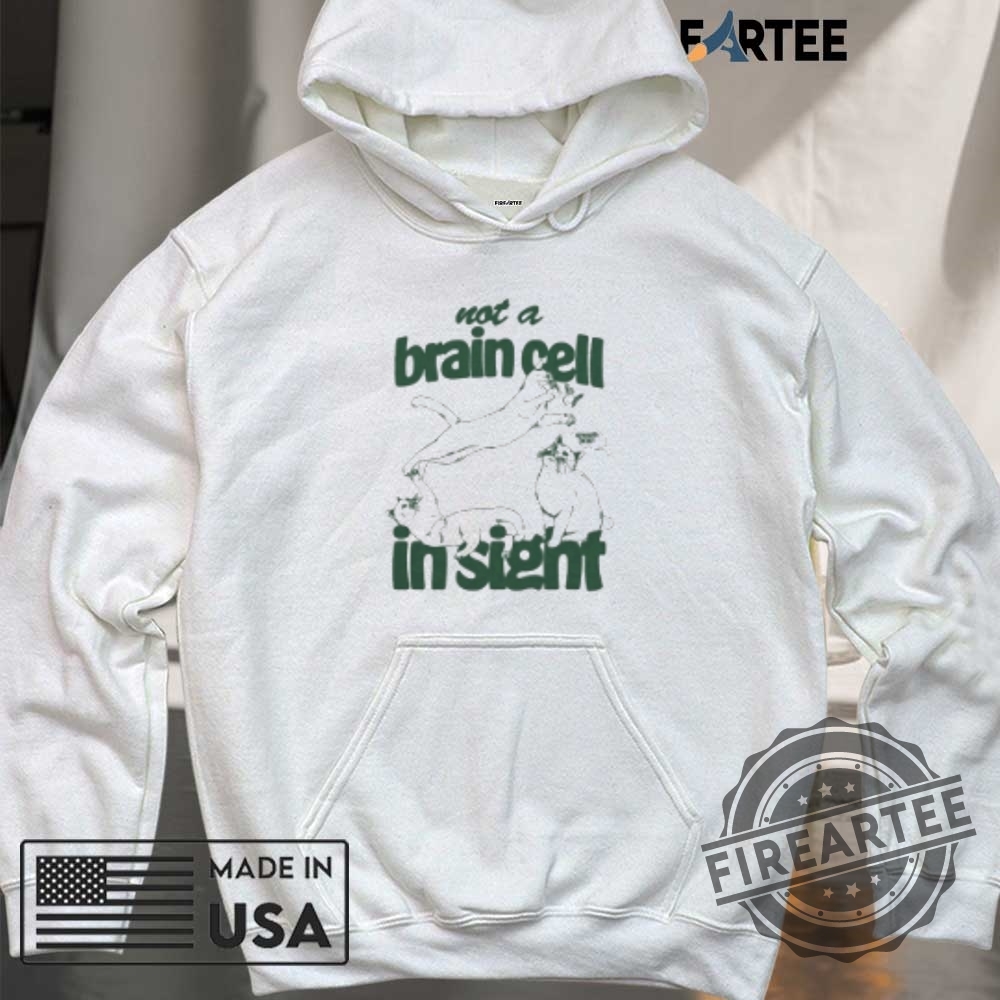 Not A Brain Cell In Sight Smooth Brain Cats Tshirts 6 Not A Brain Cell In Sight Smooth Brain Cats T-shirts