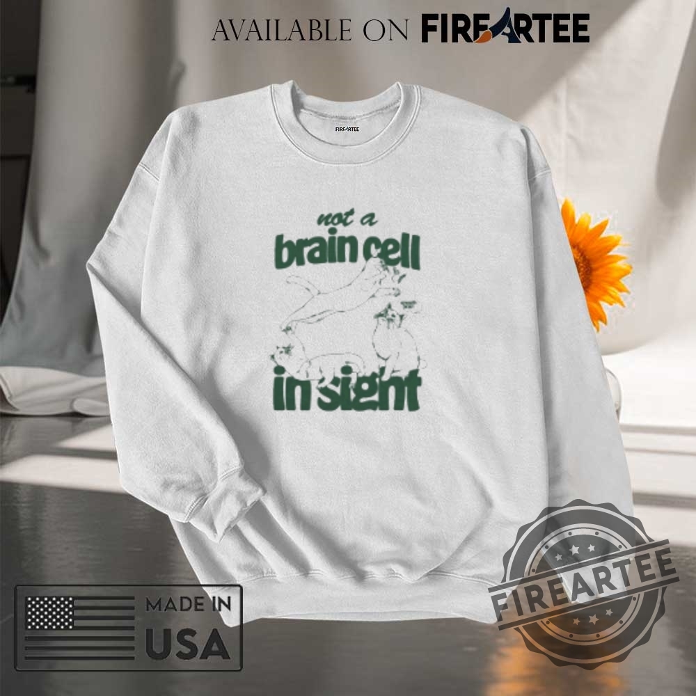 Not A Brain Cell In Sight Smooth Brain Cats Tshirts 7 Not A Brain Cell In Sight Smooth Brain Cats T-shirts