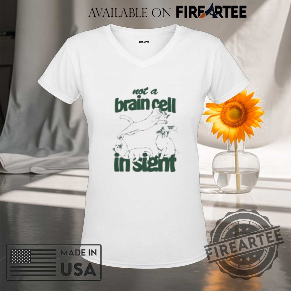 Not A Brain Cell In Sight Smooth Brain Cats Tshirts 9 Not A Brain Cell In Sight Smooth Brain Cats T-shirts