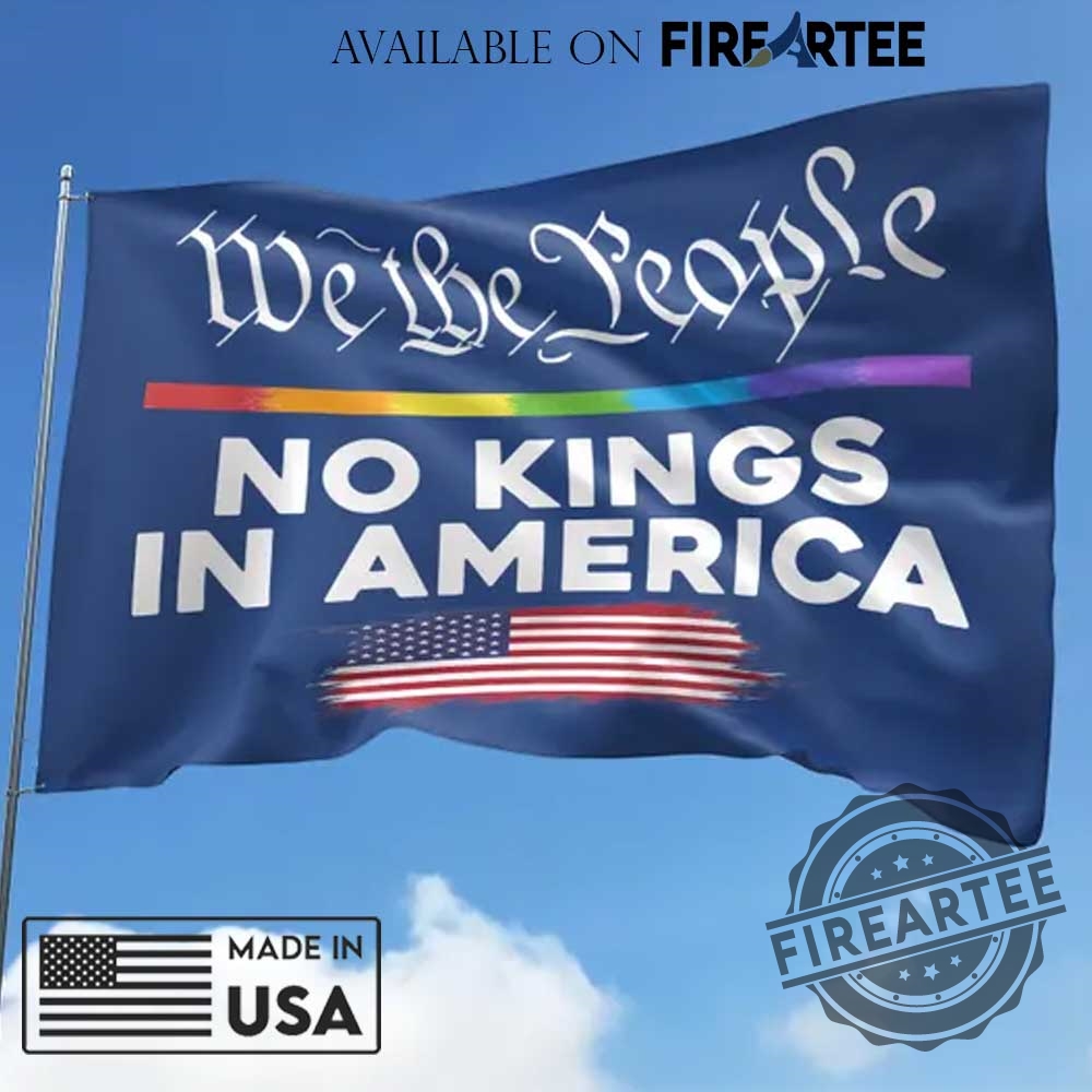 Protect Democracy No Kings In America House Flag