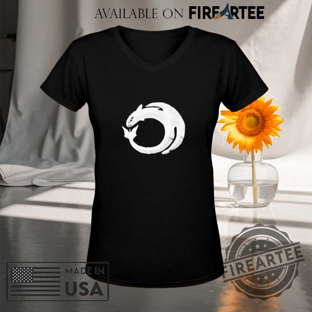 How to Train Your Dragon T-Shirt 8 How to Train Your Dragon T-Shirt