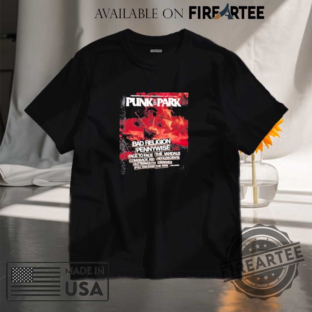 "Top 5 Patriotic and Music-Inspired Custom Tumblers and Tees for 2025" 6 Punk In The Park 2025 Boston Shirt